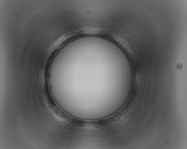 X0000090750682200708031608