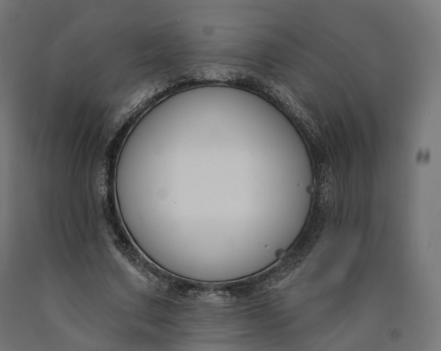 X0000090750683200708031608