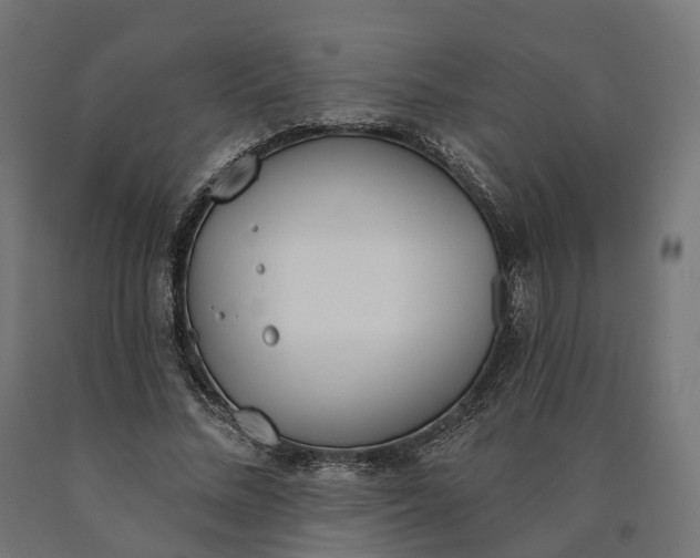 X0000090750684200708031608