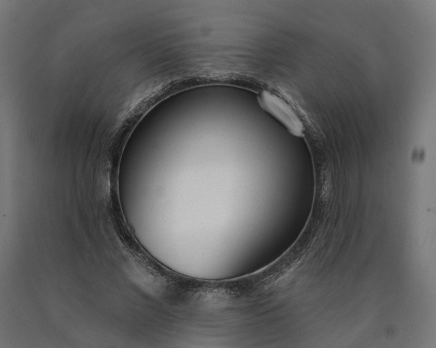 X0000090750685200708031608