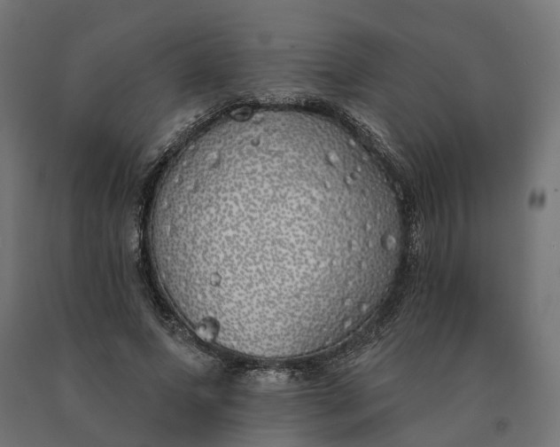 X0000090750687200708031608