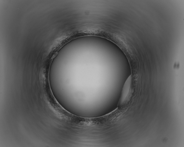 X0000090750688200708031608