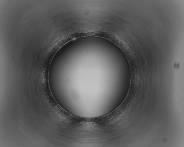 X0000090750689200708031608