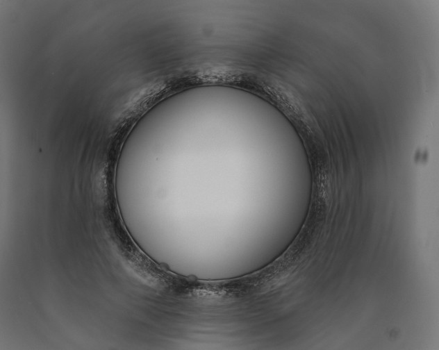 X0000090750690200708031608