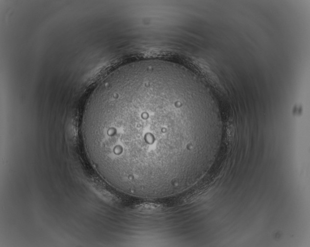 X0000090750691200708031608