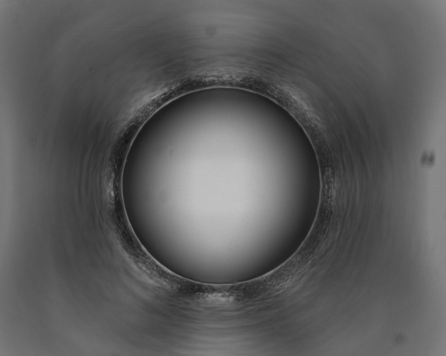 X0000090750692200708031608