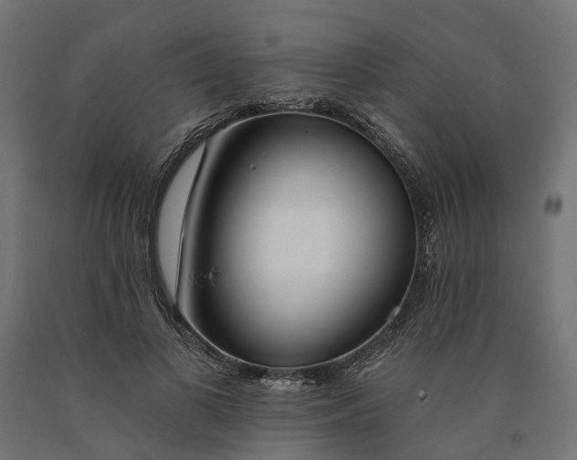 X0000090750693200708031608