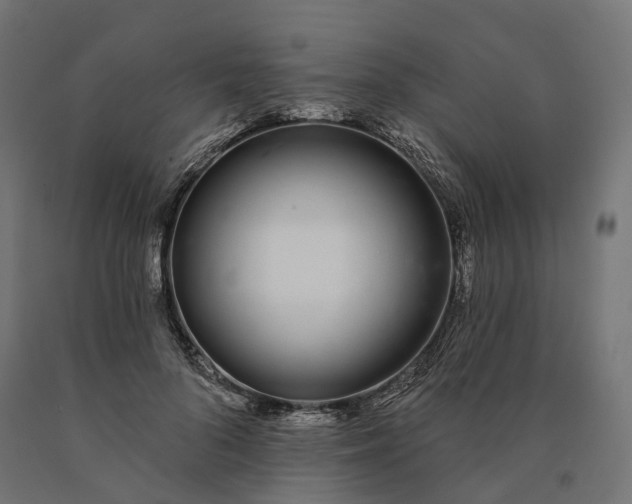 X0000090750696200708031608