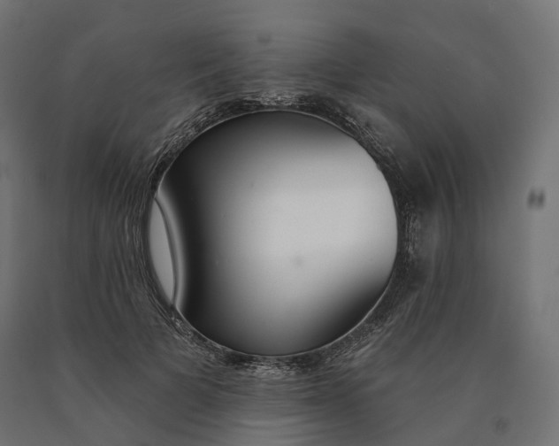 X0000090750697200708031608