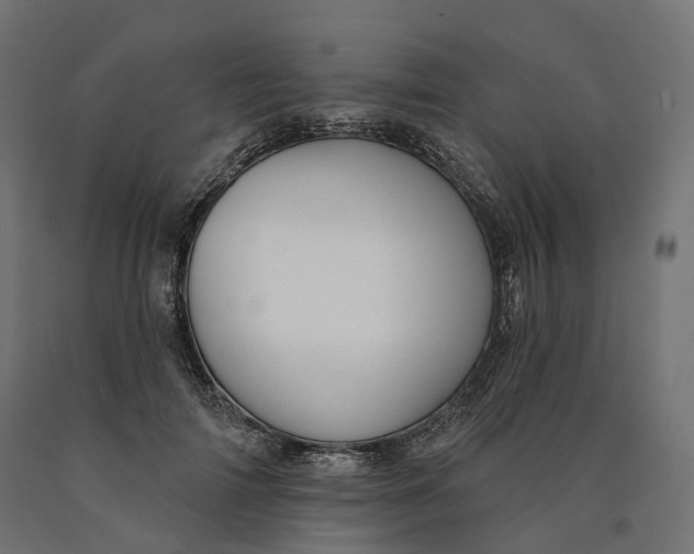 X0000090750698200708031608