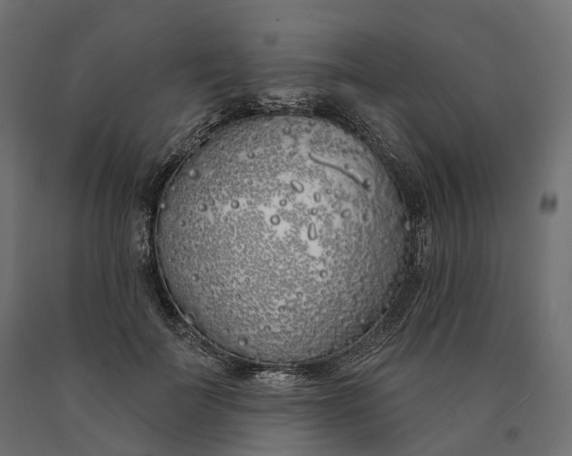 X0000090750699200708031608