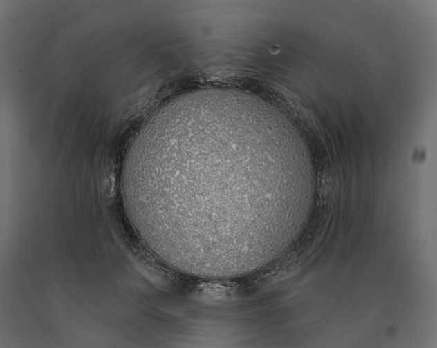 X0000090750703200708031608