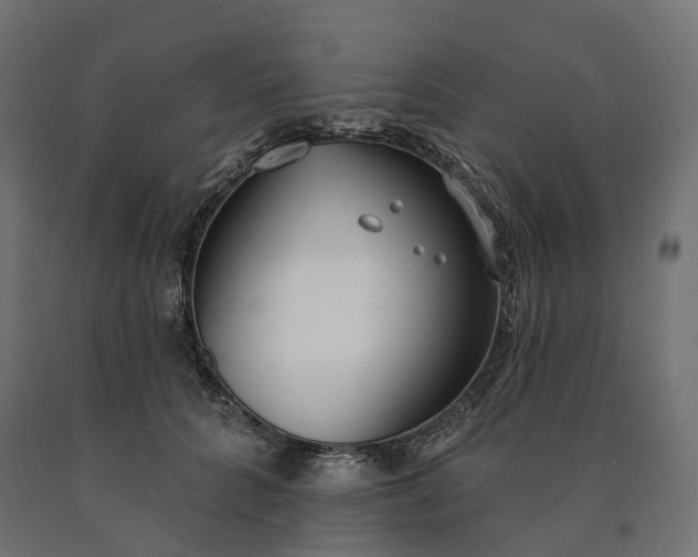 X0000090750704200708031608