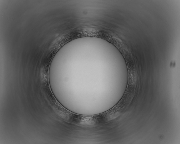 X0000090750705200708031608