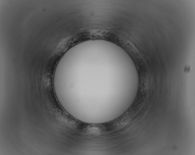 X0000090750706200708031608