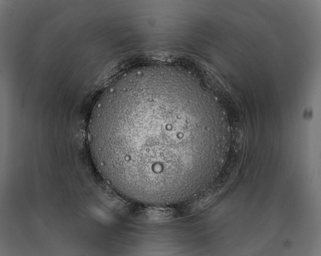 X0000090750707200708031608