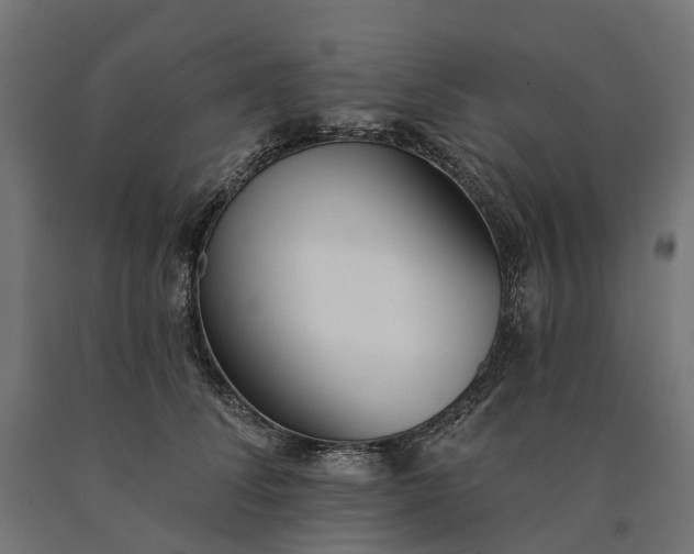 X0000090750708200708031608