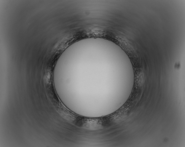 X0000090750709200708031608