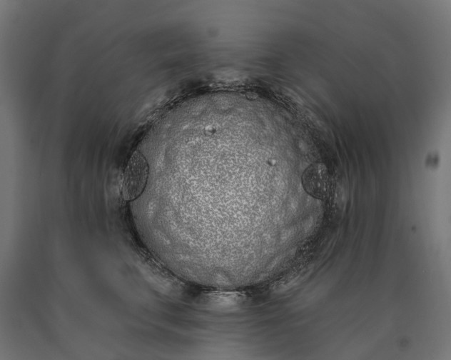 X0000090750711200708031608