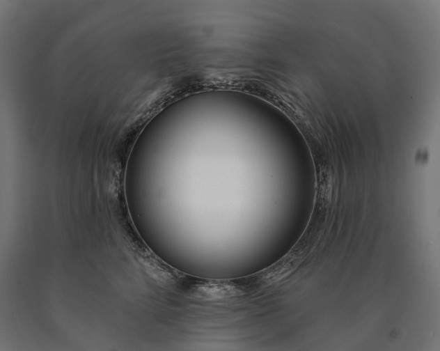 X0000090750712200708031608