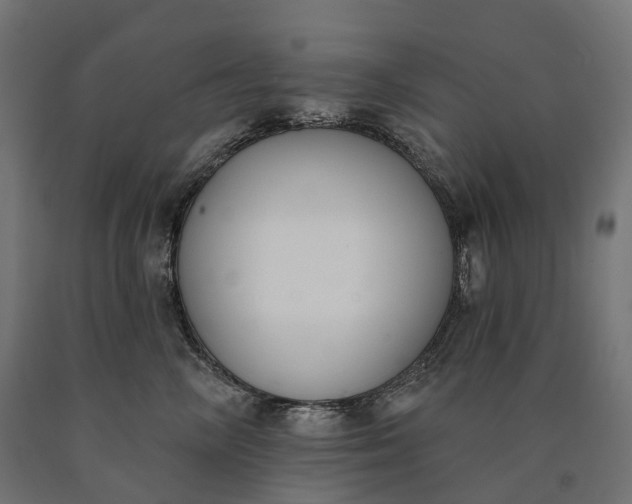 X0000090750714200708031608