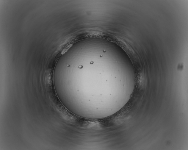 X0000090750715200708031608