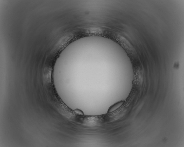 X0000090750717200708031608