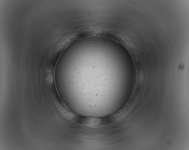 X0000090750719200708031608