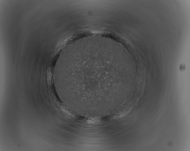 X0000090750720200708031608