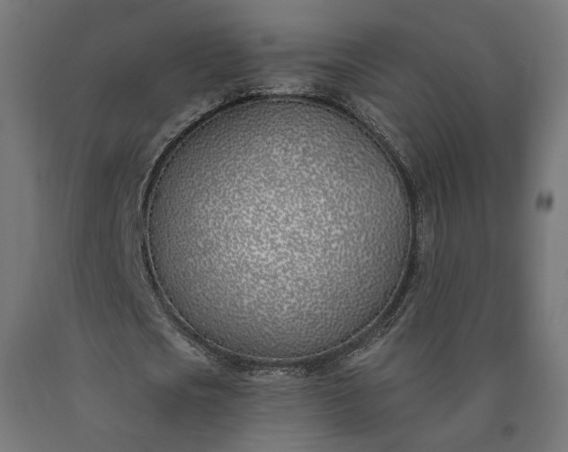 X0000090750721200708031607