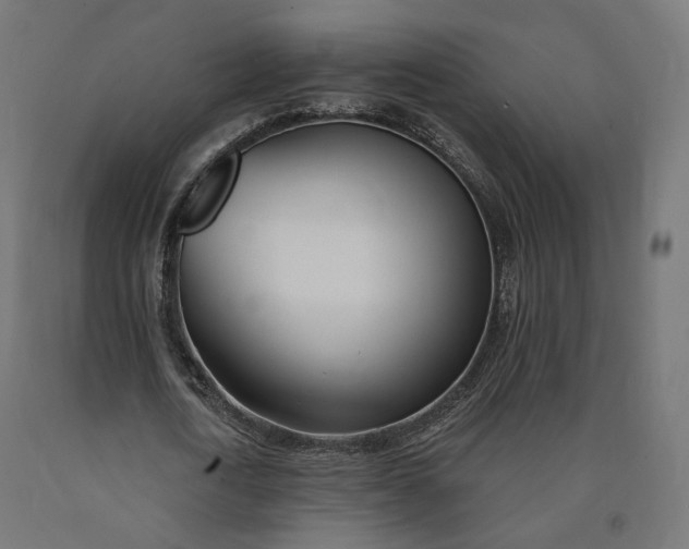 X0000090750722200708031607