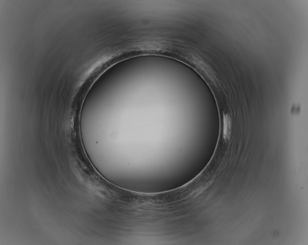 X0000090750723200708031607