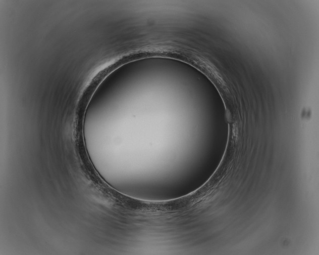 X0000090750724200708031607