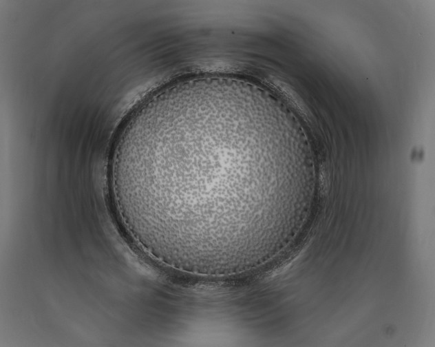 X0000090750725200708031607