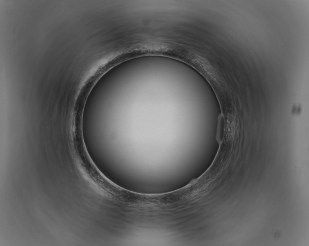 X0000090750726200708031607