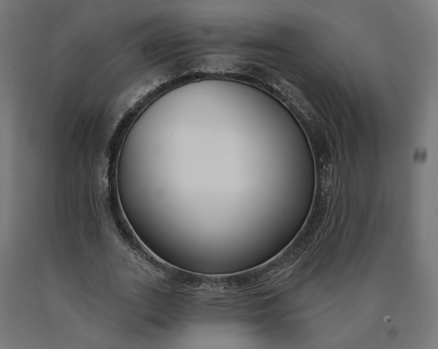 X0000090750727200708031607