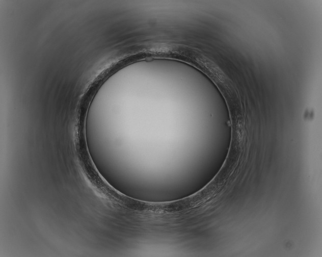 X0000090750728200708031607