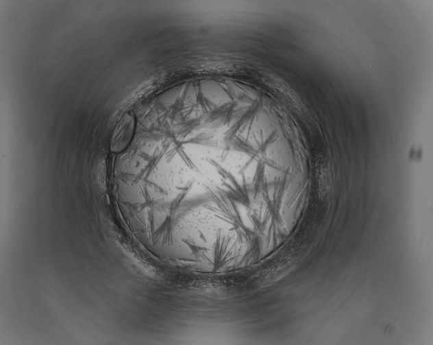 X0000090750729200708031607