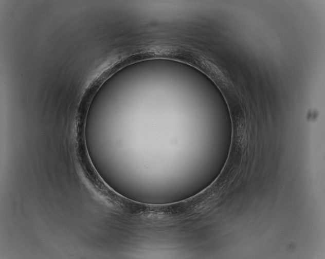 X0000090750730200708031607