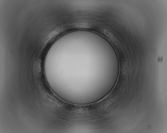 X0000090750731200708031607