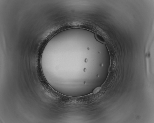 X0000090750732200708031607