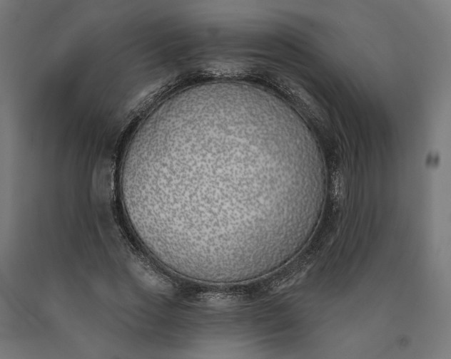 X0000090750733200708031607