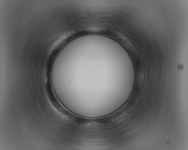 X0000090750734200708031607