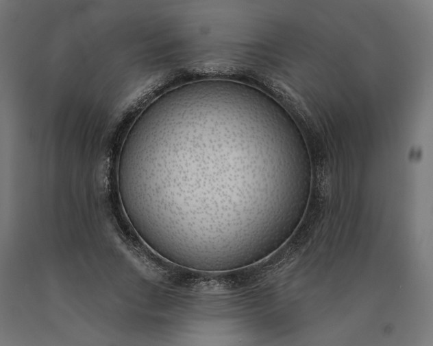 X0000090750735200708031607