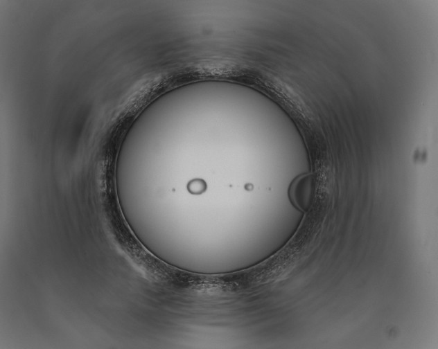 X0000090750738200708031607