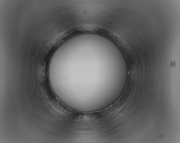 X0000090750739200708031607