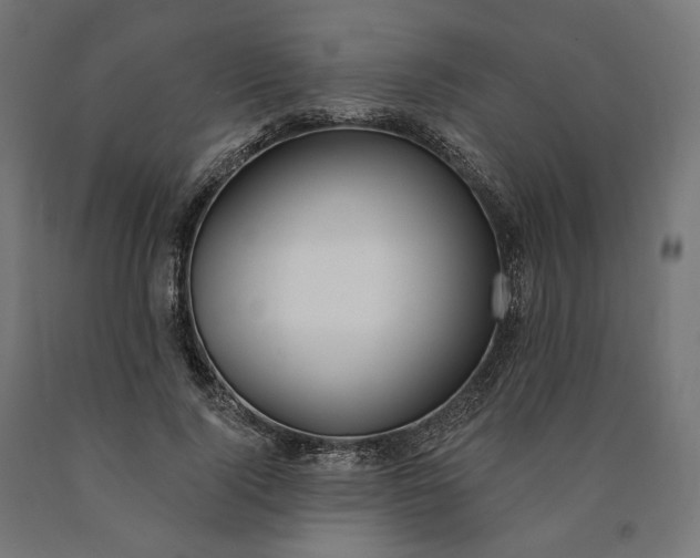 X0000090750740200708031607