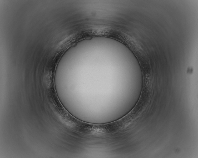 X0000090750741200708031607