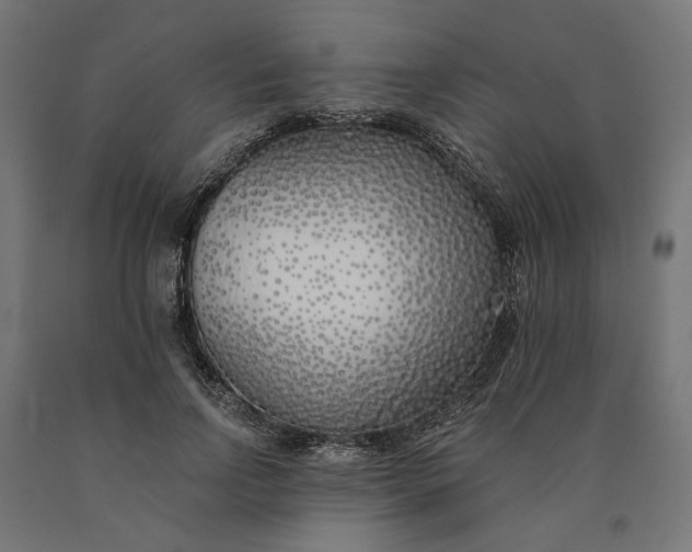 X0000090750742200708031607