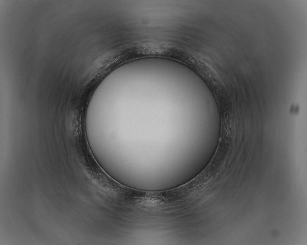 X0000090750743200708031607